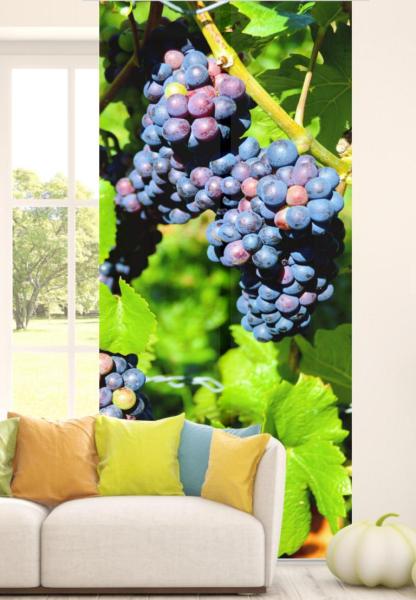 Die Reben, Flächenvorhang 2er Set